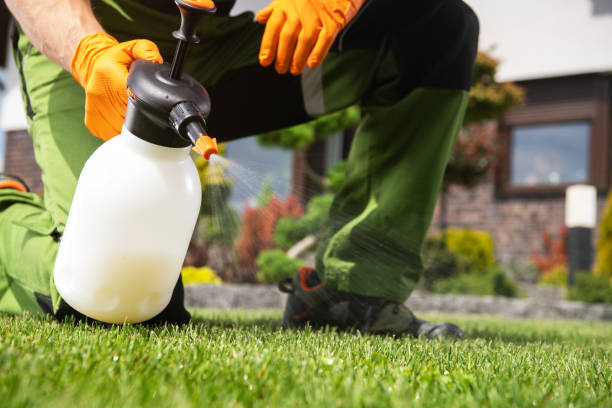 Best Pest Prevention Services  in Highland, KS