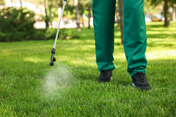 Best Mosquito Control Services  in Highland, KS