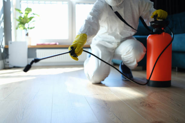 Best Wasp Removal Services  in Highland, KS