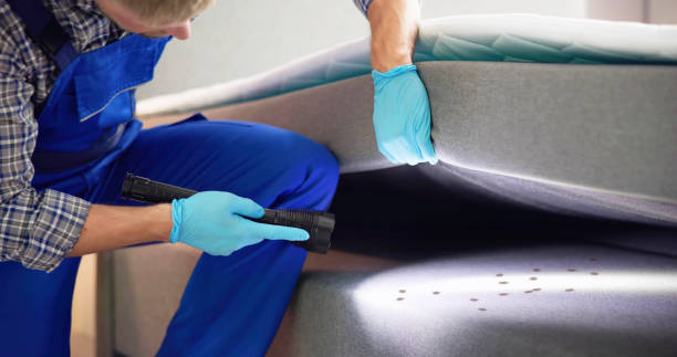 Best Exterminator Services  in Highland, KS