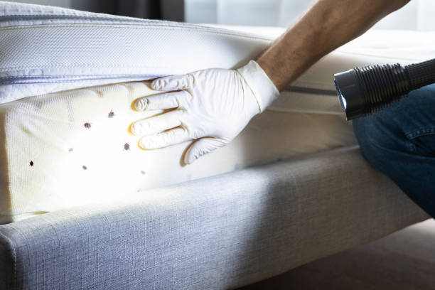 Best Pest Control Near Me  in Highland, KS