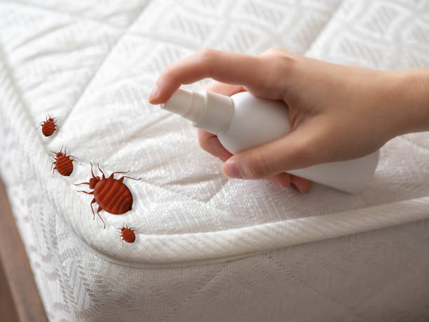 Best Local Pest Control Services  in Highland, KS